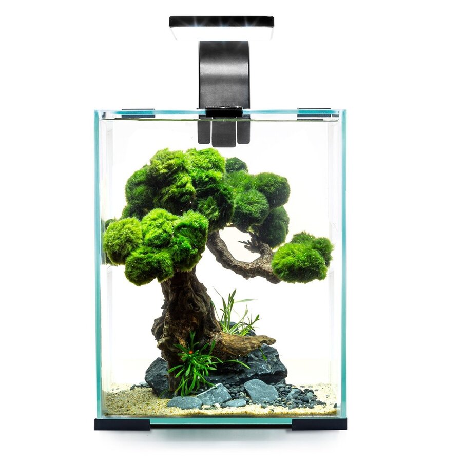 Shrimp Set Dag & Nacht 10 | 10L | 20 x 20 x 25CM