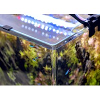 Aquarium Optibent Set 70 | 68L | 39 x 39 x 45CM