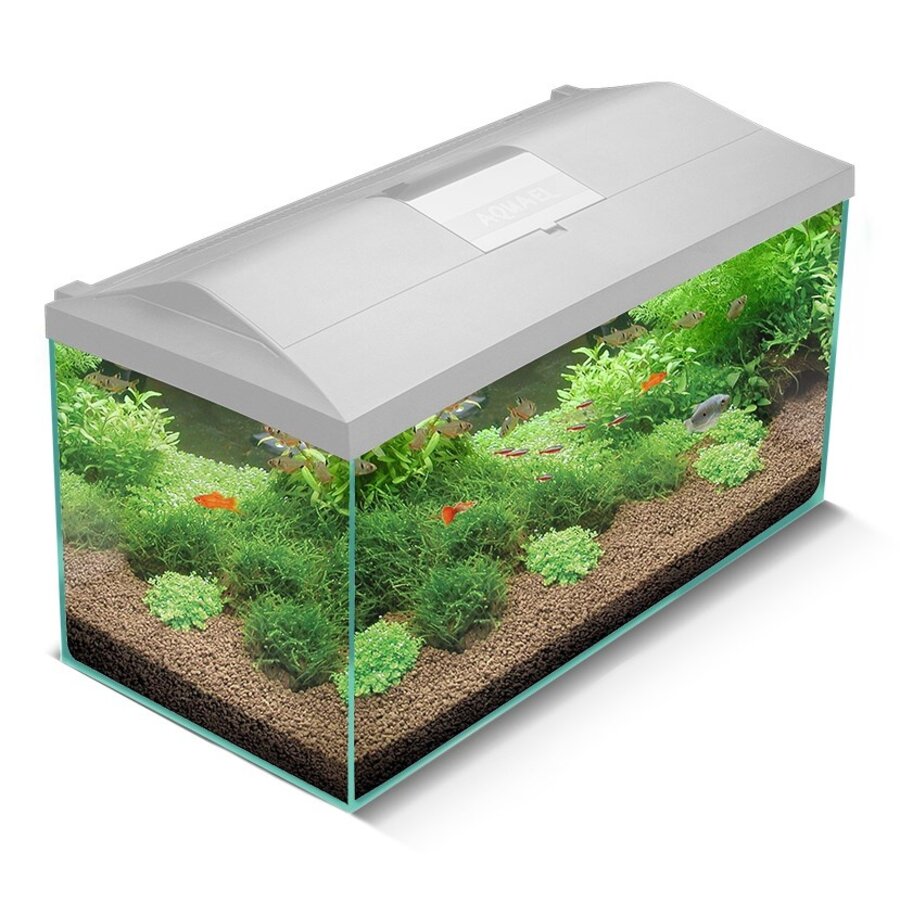 Aquarium Leddy 75 Dag & Nacht Biofs 2.0 | 105L | 75 x 35 x 40CM