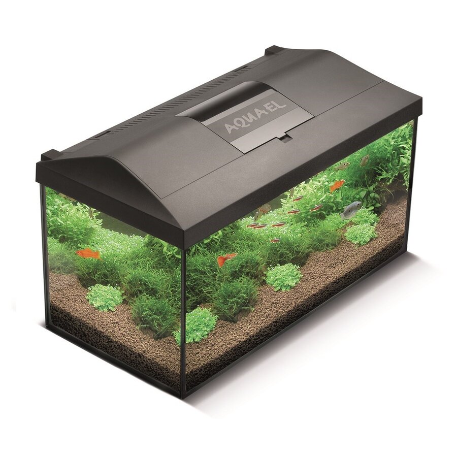 Aquarium Leddy 60 Dag & Nacht Biofs 2.0 | 54L | 60 x 30 x 30CM