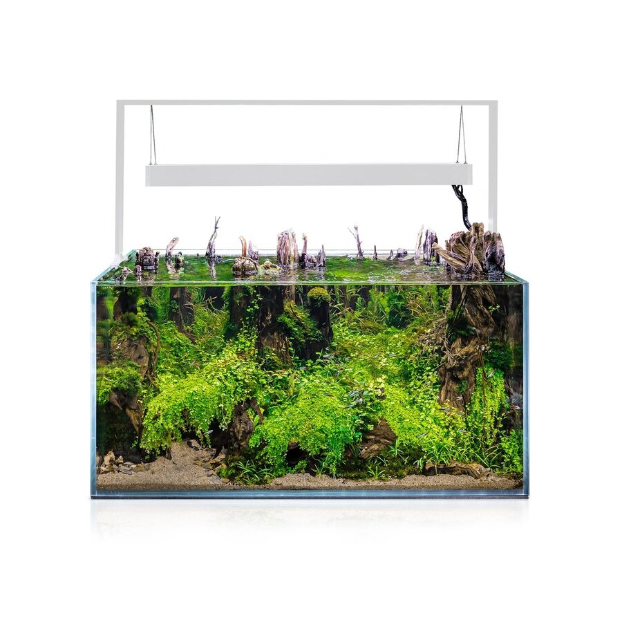 Ultrascape 90 | 243L | 90 x 60 x 45CM