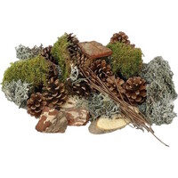 Forest Mix XL mos en dennenappels | compleet pakket voor mos terrarium en decoratie