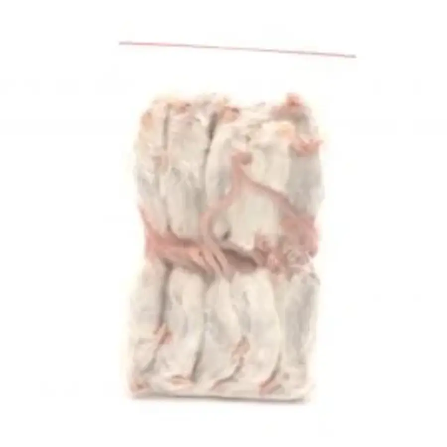 Diepvries muis volwassen XL 25–35 gram