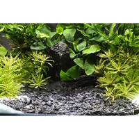 Natural Gravel Kongo aquarium grind 5 kg