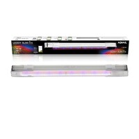 Leddy Slim Link Wit 2.0