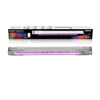 Leddy Slim Link Wit 2.0