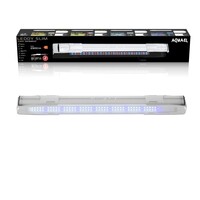 Leddy Slim Sunny Wit 2.0