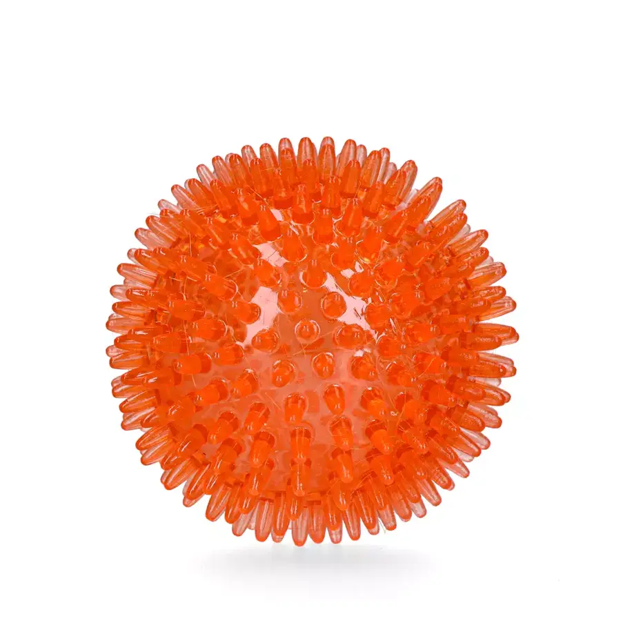 Oranje Egelbal | TPR hondenspeelbal voor gebitsverzorging