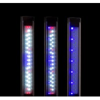 Leddy Slim Duo Sunny Plant & Nacht Zwart