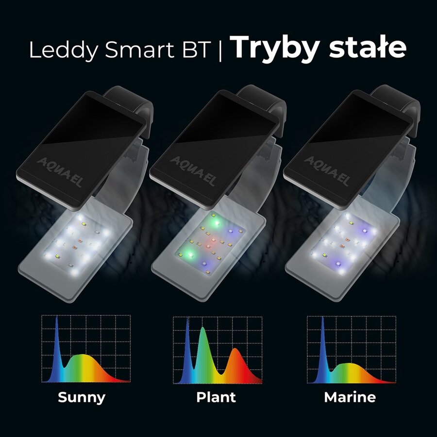 Leddy Smart BT