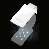 Leddy Smart 4,8W Sunny Dag & Nacht