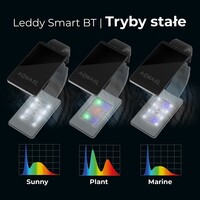 Leddy Smart 4,8W Plant & Nacht