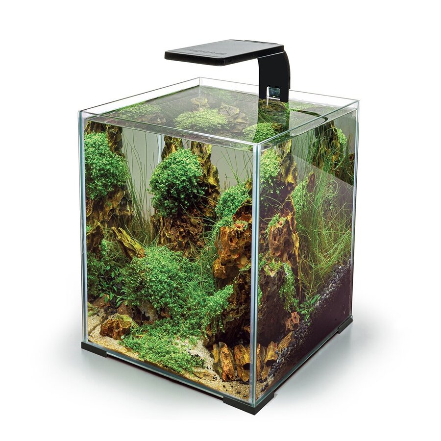 Leddy Smart 4,8W Plant & Nacht