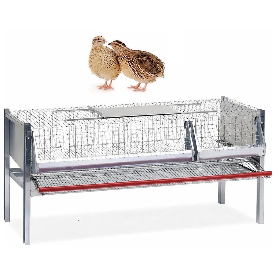 Legkooi voor kwartels voor circa 30 dieren 101 x 50 x 62 cm