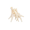 Witte kippenpootjes hondensnack 5 stuks