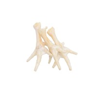 Witte kippenpootjes hondensnack 5 stuks | 100% natuurlijke kip