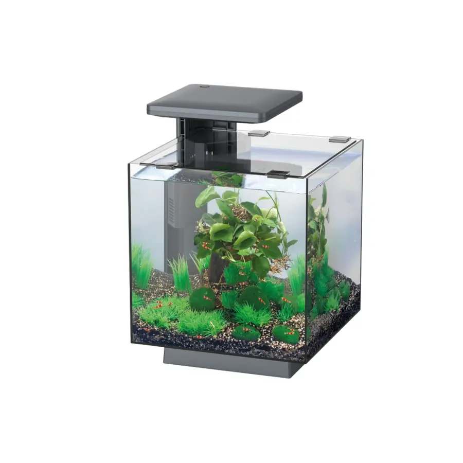 Superfish Qubiq 15 LED | 15L | 25 x 25 x 35CM Zwart