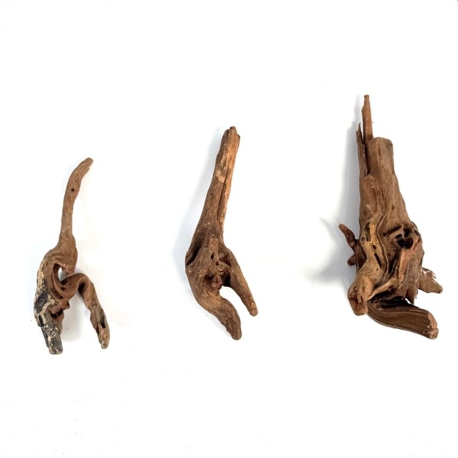 Sinking Wood 10-20CM