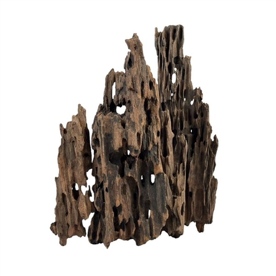 Dragonscale Wood