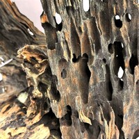 Dragonscale Wood