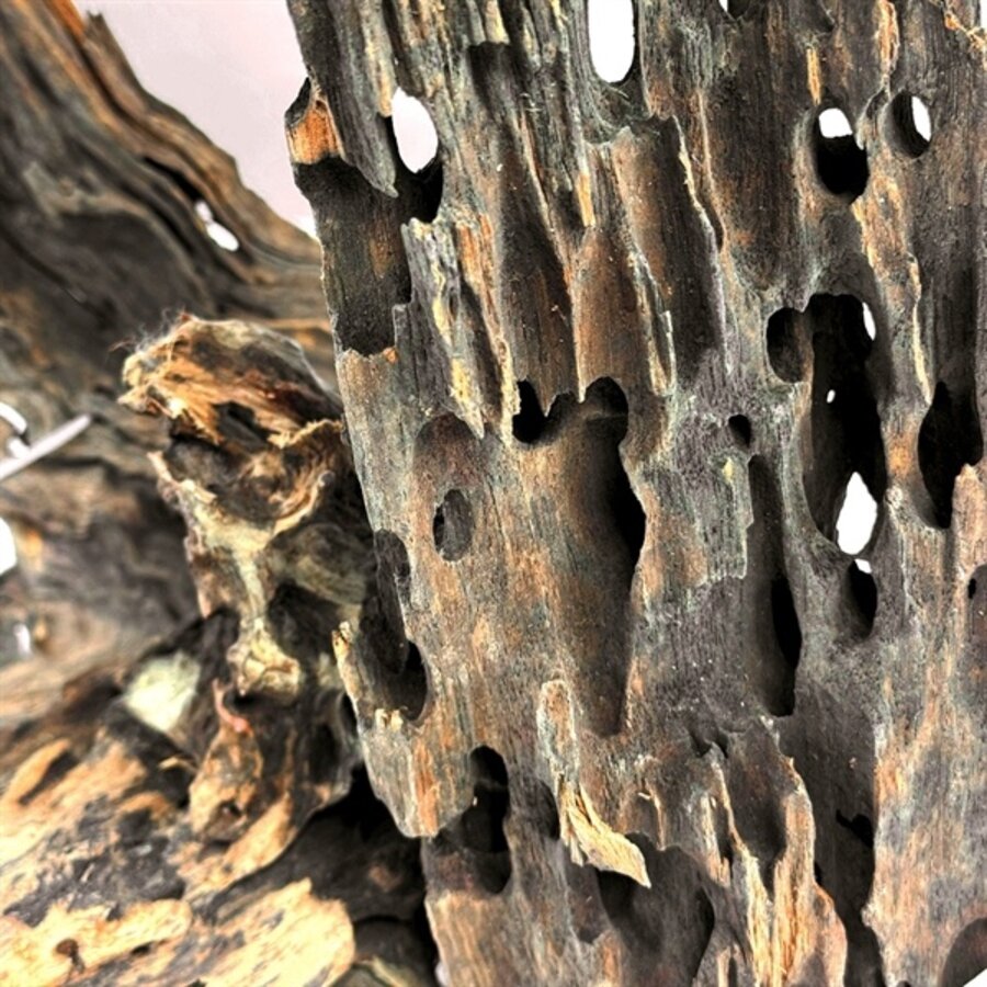 Dragonscale Wood