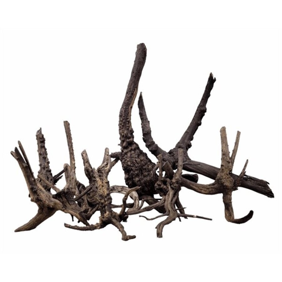 Black Tree Trunk Wood