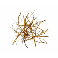 Amber Root Mix 140 Gram