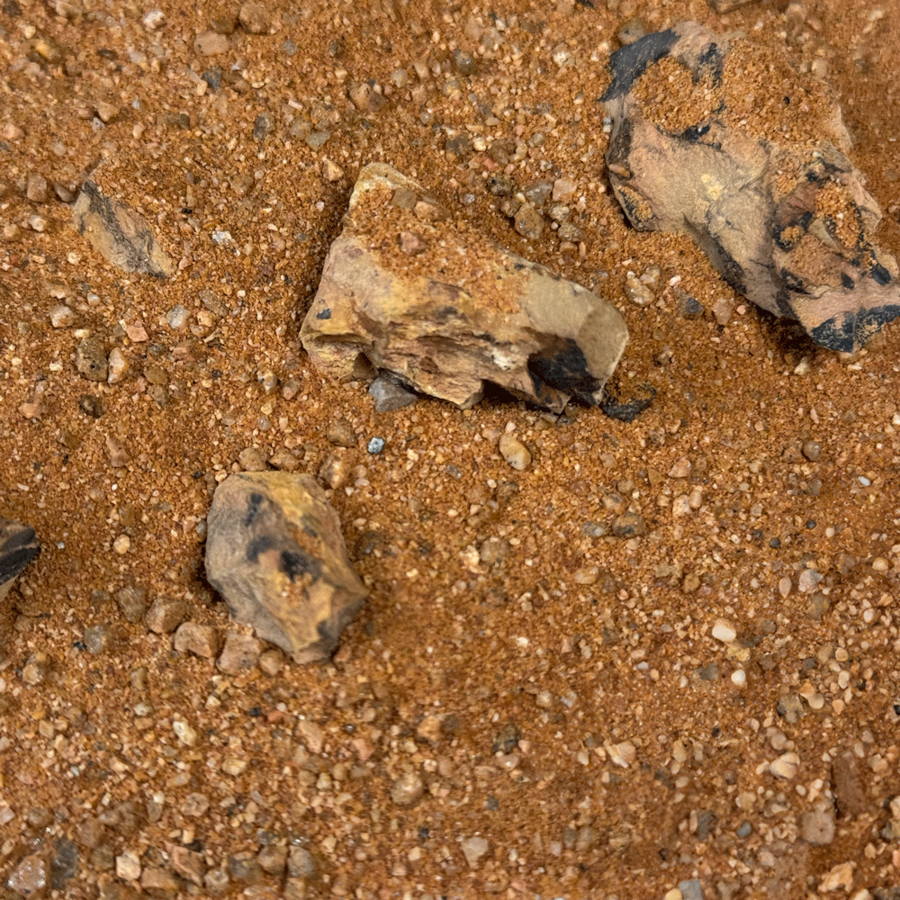 Golden Dragon Riverbed