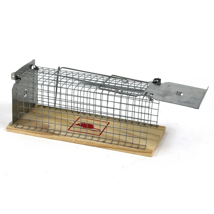 Ratten vangkooi met houten bodem
