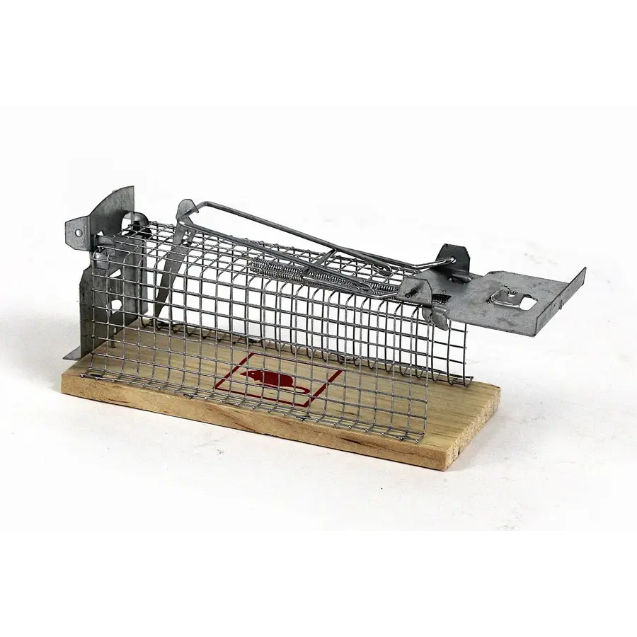 Muizen vangkooi met houten bodem