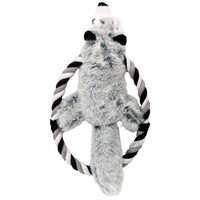 Hondenspeeltje Ashty