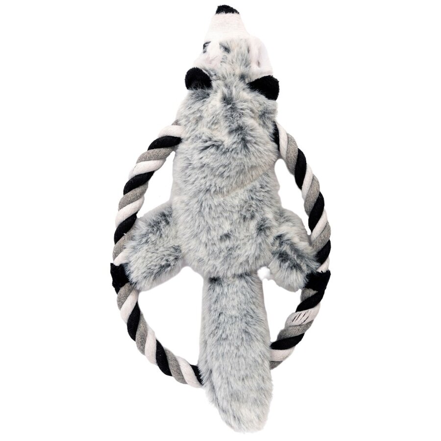 Hondenspeeltje Ashty