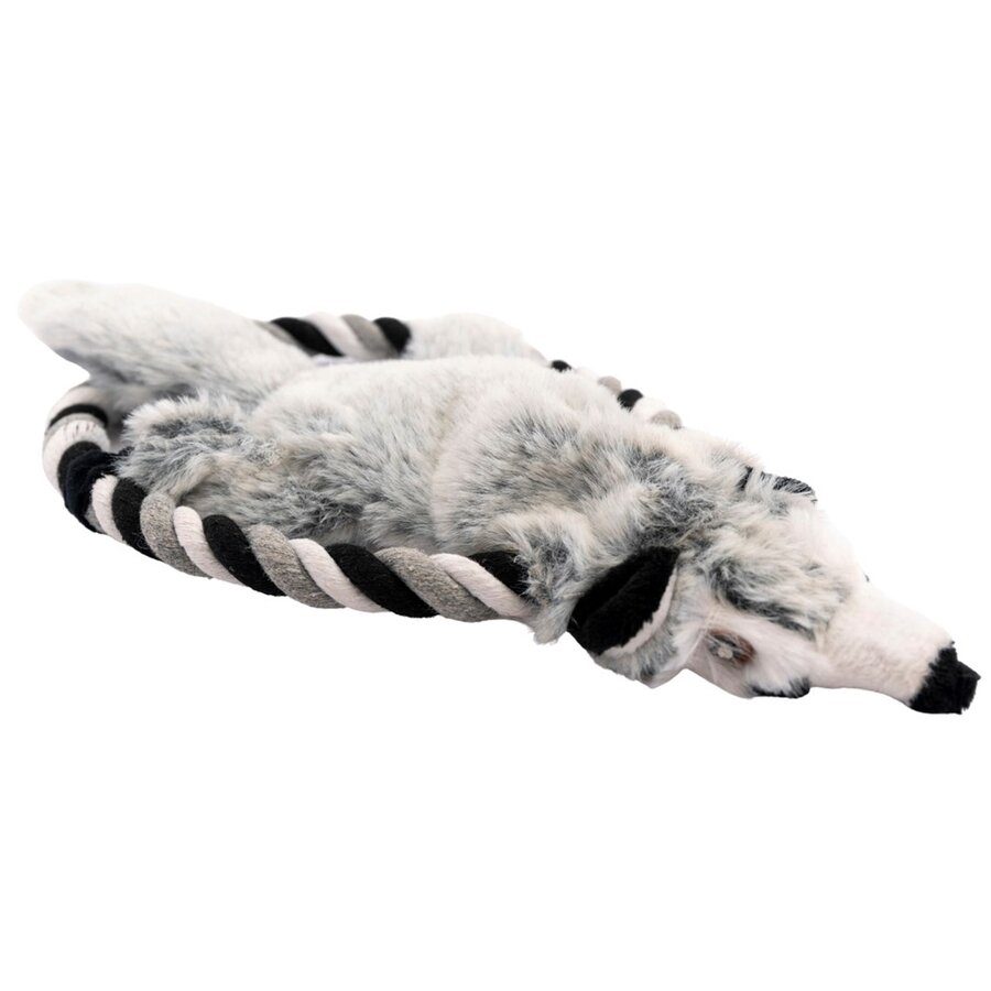 Hondenspeeltje Ashty