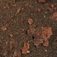 Volcano Crickey Riverbed