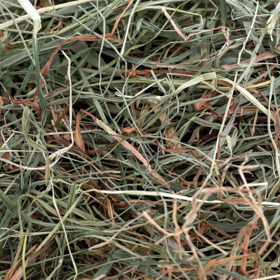 Hooi voor konijnen en knaagdieren