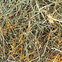 Hooi met bloemen voor konijnen en knaagdieren