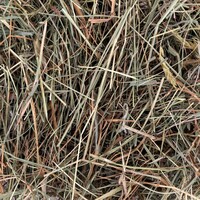 Hooi met munt voor konijnen en knaagdieren