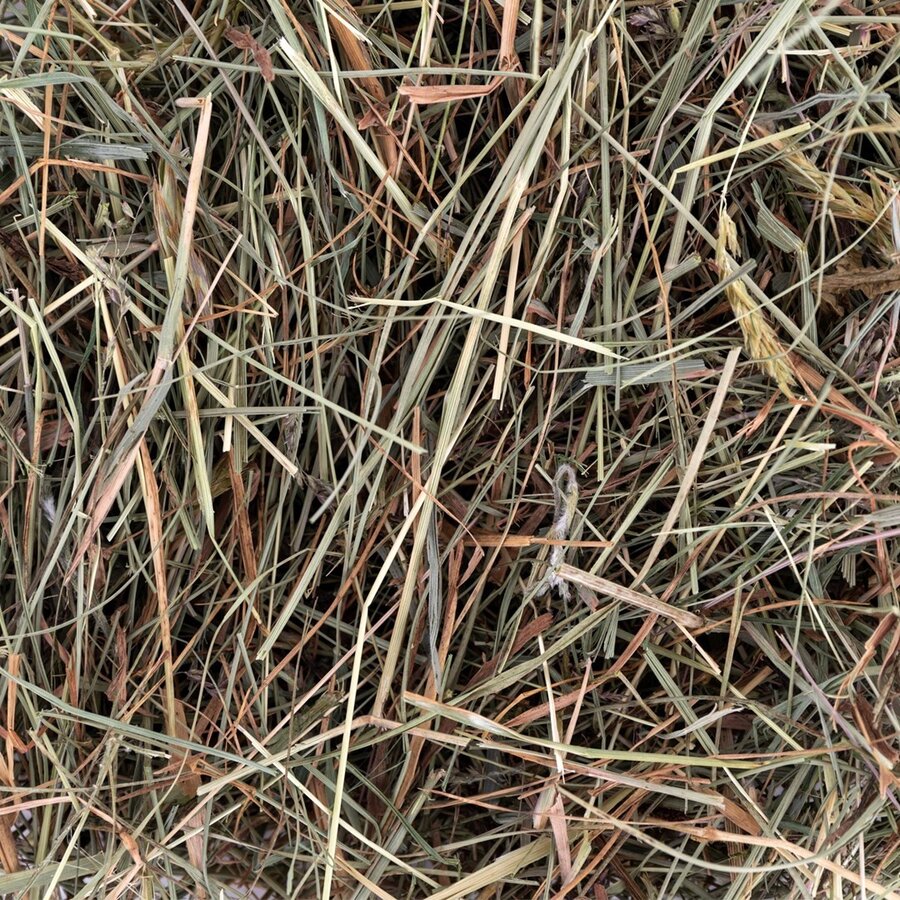 Hooi met munt voor konijnen en knaagdieren