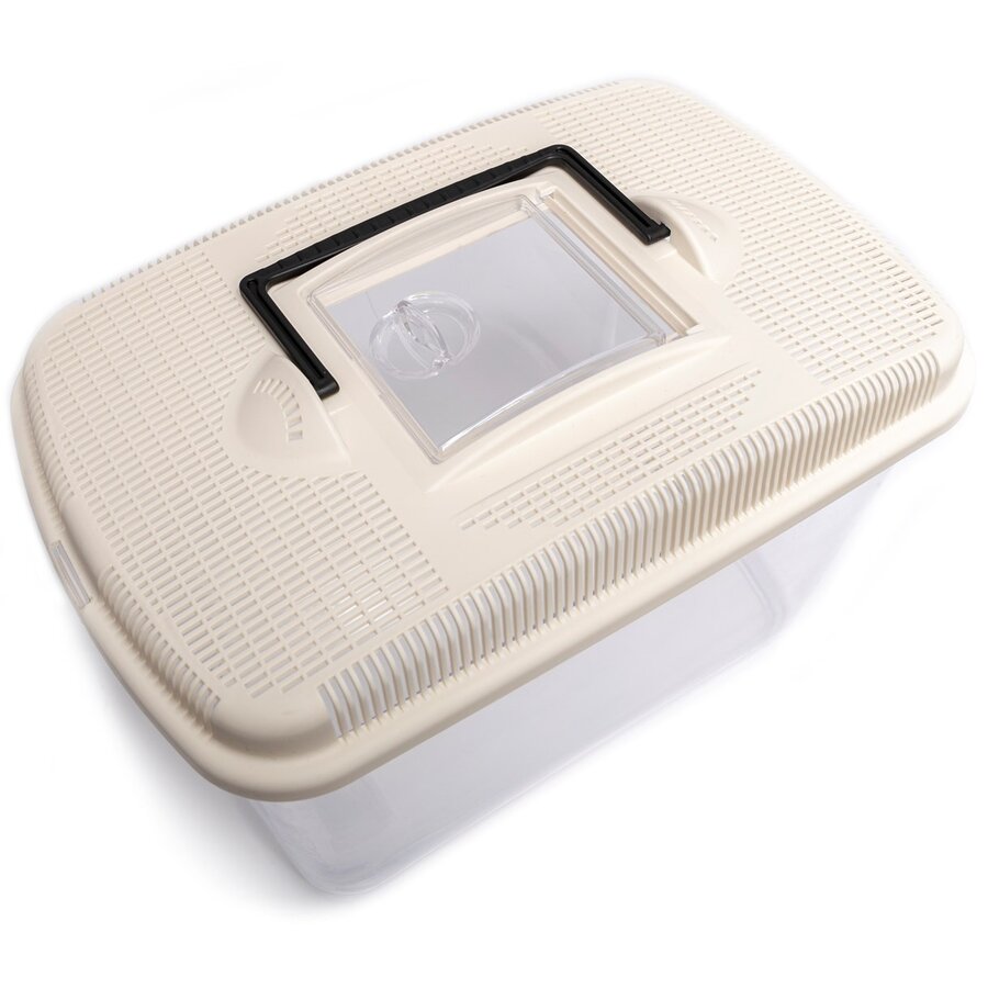 Transportbox Amber mini | midi | maxi voor knaagdieren en insecten