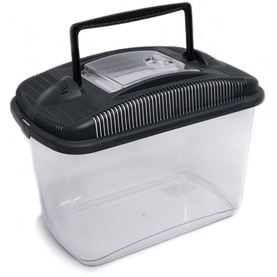 Transportbox Amber mini | midi | maxi voor knaagdieren en insecten