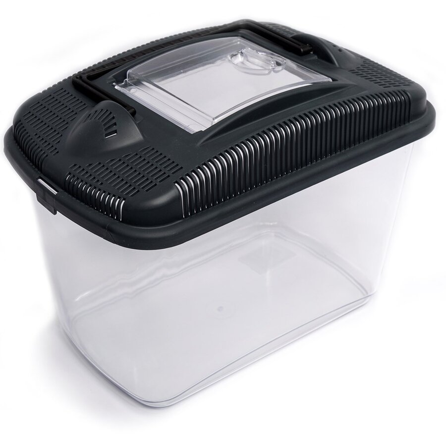 Transportbox Amber mini | midi | maxi voor knaagdieren en insecten