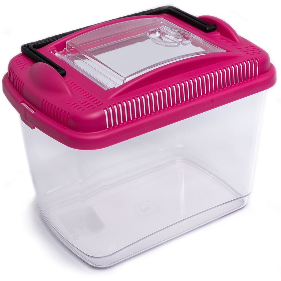 Transportbox Amber mini | midi | maxi voor knaagdieren en insecten