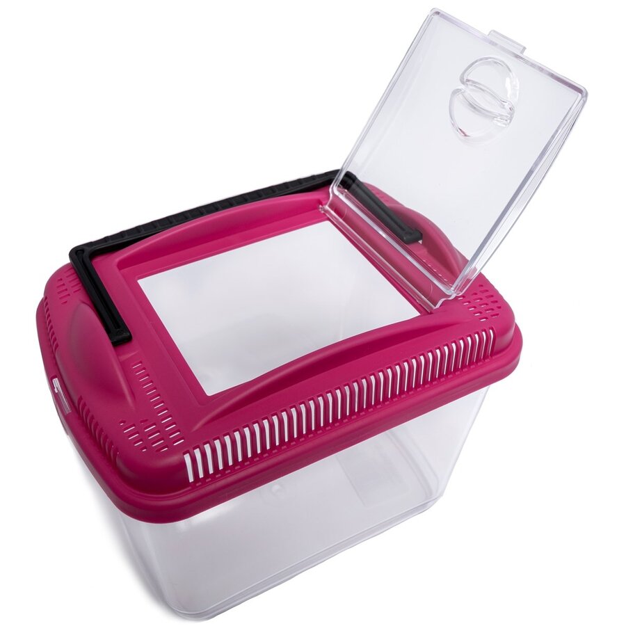 Transportbox Amber mini | midi | maxi voor knaagdieren en insecten