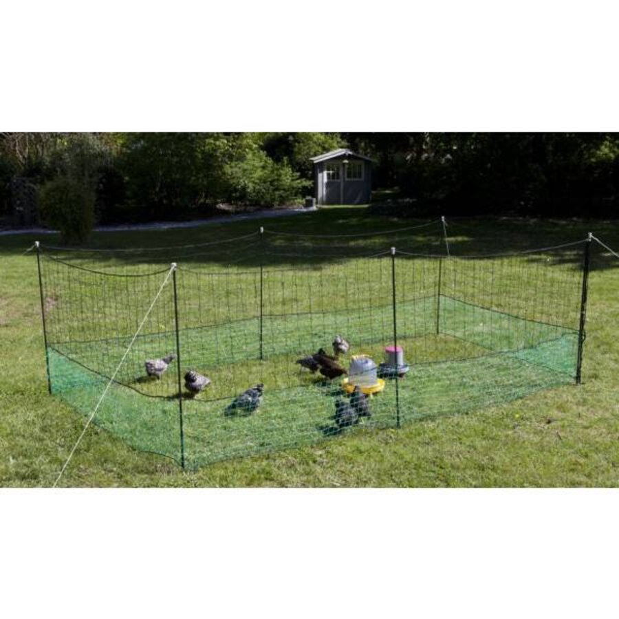 Verplaatsbare kippenren