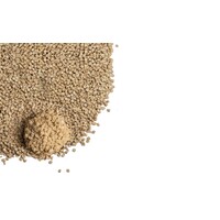 Kattenbakvulling Cornelius Natuurlijk | klontvormend maïsgrit | 7 liter of 25 liter