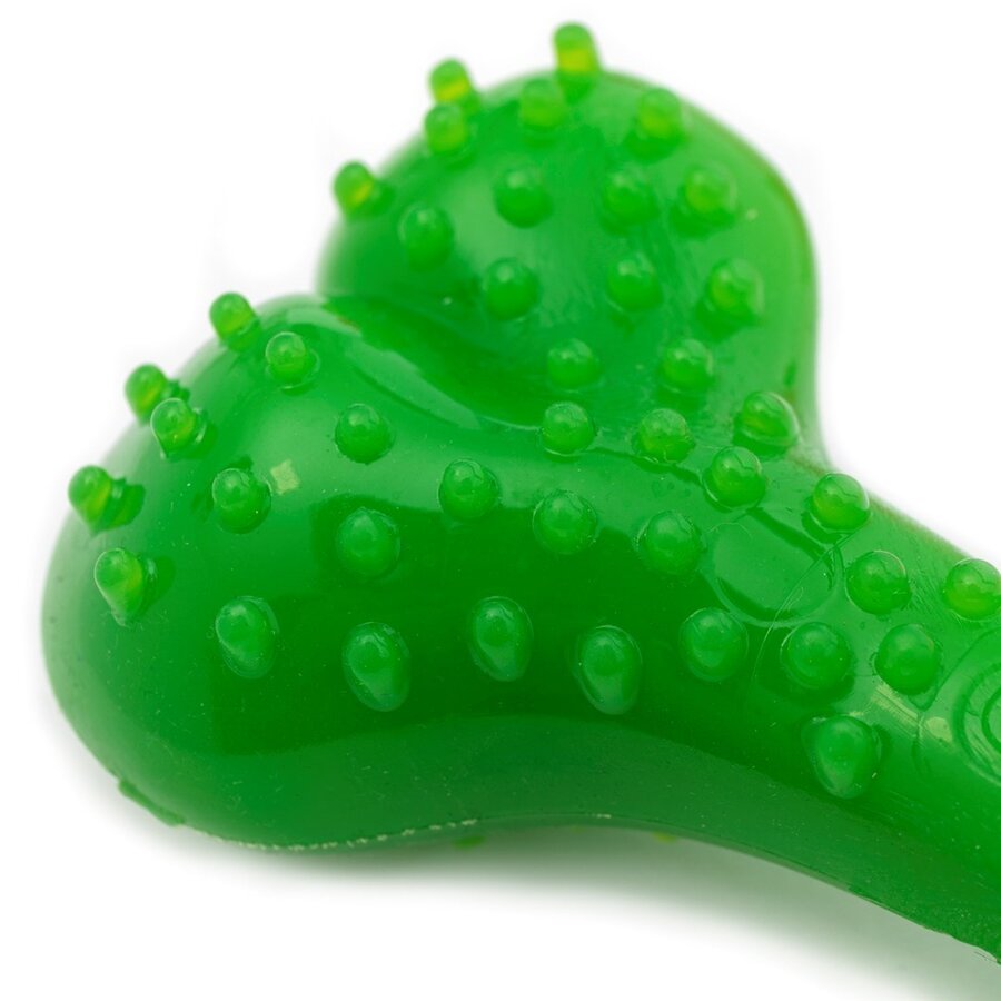 Dental Bone Mint Green | mintgeur | dental kauwspeeltje