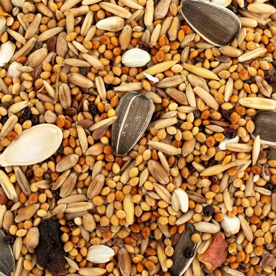 Compleetvoer zaadmengeling voor middelgrote papegaaien met granen | groente en fruit 500 gram