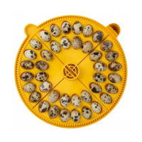 Keerrooster voor Maxi 24 | 40 kwarteleieren | 4 kwadranten | mix & match