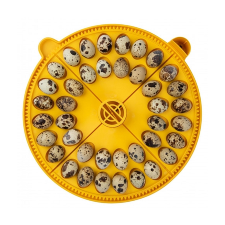 Keerrooster voor Maxi 24 | 40 kwarteleieren | 4 kwadranten | mix & match