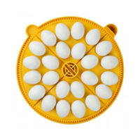 Keerrooster voor Maxi 24 | 24 kippeneieren | 4 kwadranten